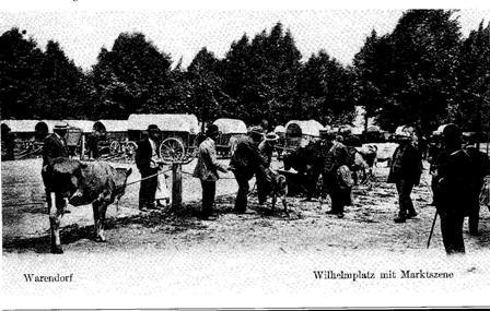 Heimatverein Warendorf: Marktszene am Wilhelmsplatz um 1920