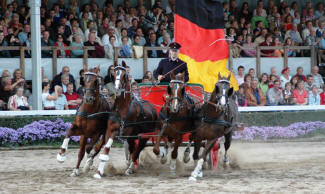 Landgestüt Warendorf: Quadriga auf der Hengstparede